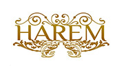 Harem Agogo Soi Sea Dragon Patong