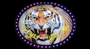 Hungry Tiger Bar Soi Tiger Patong